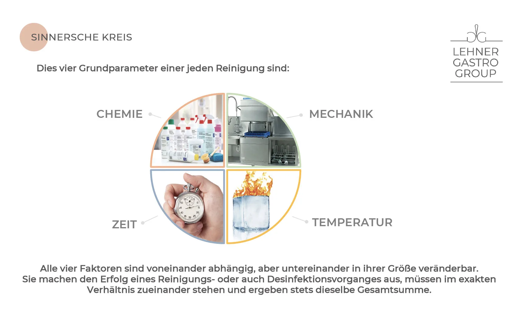 „Mit fünf Reinigungsmitteln kommt man durch“ - Im Gespräch - Bildschirmfoto 2024 06 13 um 10.13.21 1 jpg