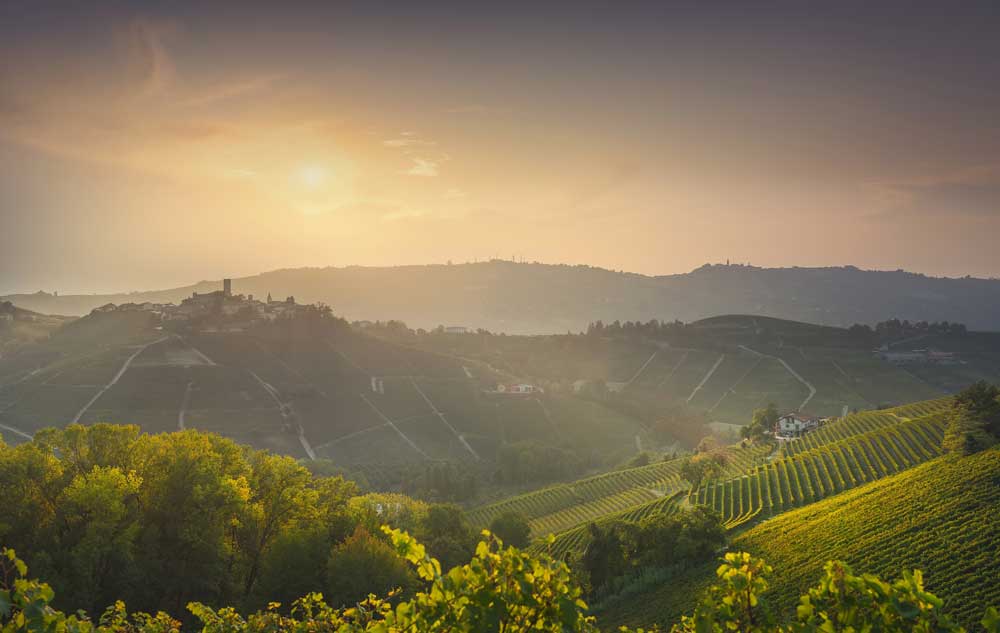 IL SOGNO Weingut