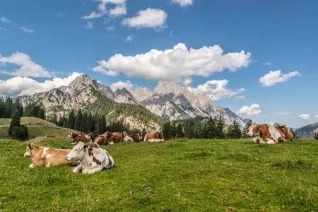 Der Tourismus lebt von intakter Umwelt und Landschaft.