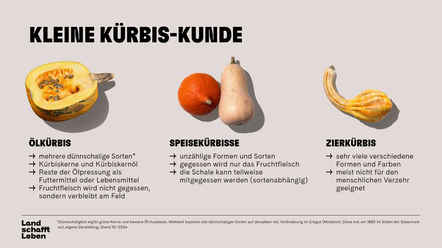  Kleine Kürbis-Kunde