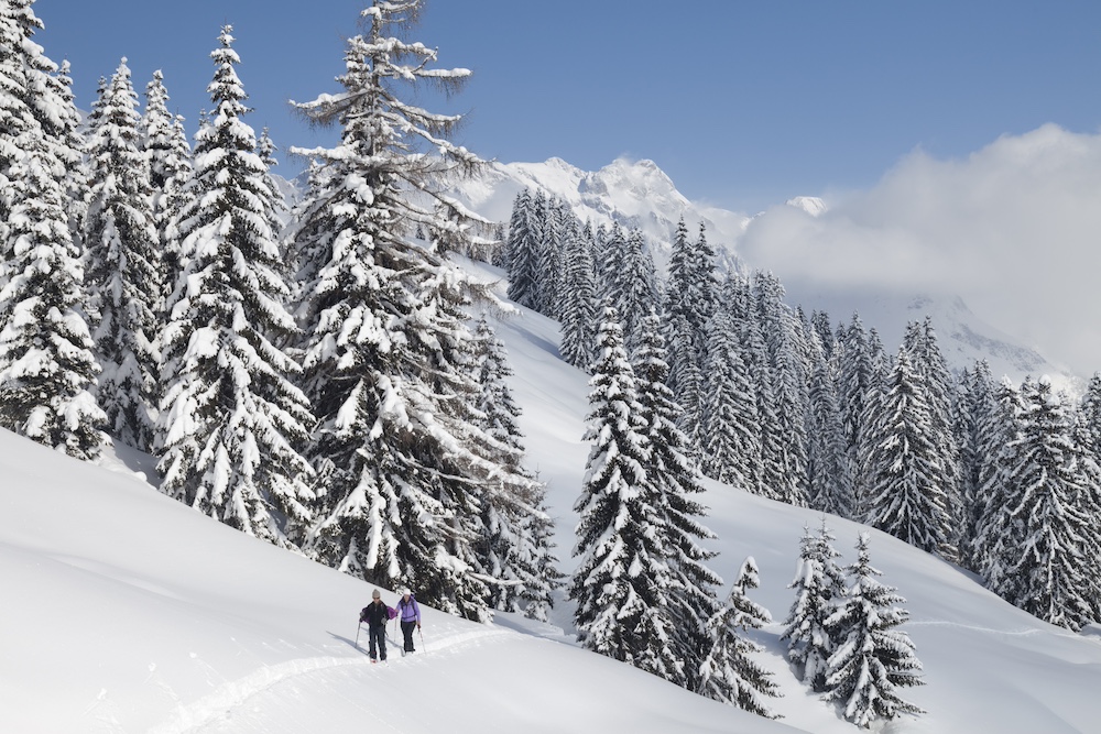 Österreich Werbung Alpenverein Bundesforste Fairplay #waldfairliebt RespektAmBerg Astrid Steharnig-Staudinger Andreas Gruber Wolfgang Schnabl