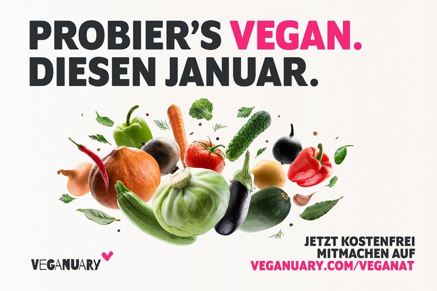 Veganuary Vegane Gesellschaft Le Crobag, Billa, Spar, Nordsee Petra Antoni